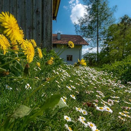Ferienhaus Schlierachtal Miesbach Dış mekan fotoğraf